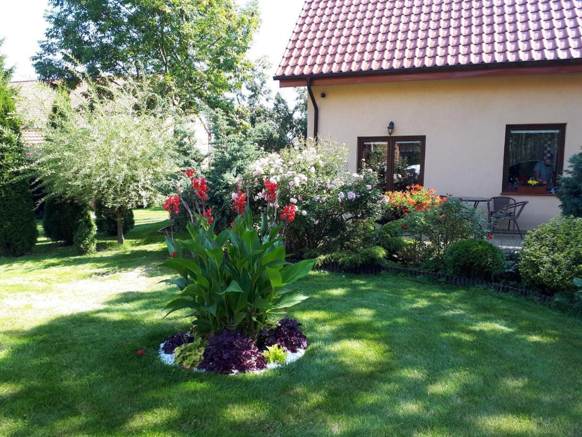 Agroturystyka Druzno Elbląg Eksteriør billede